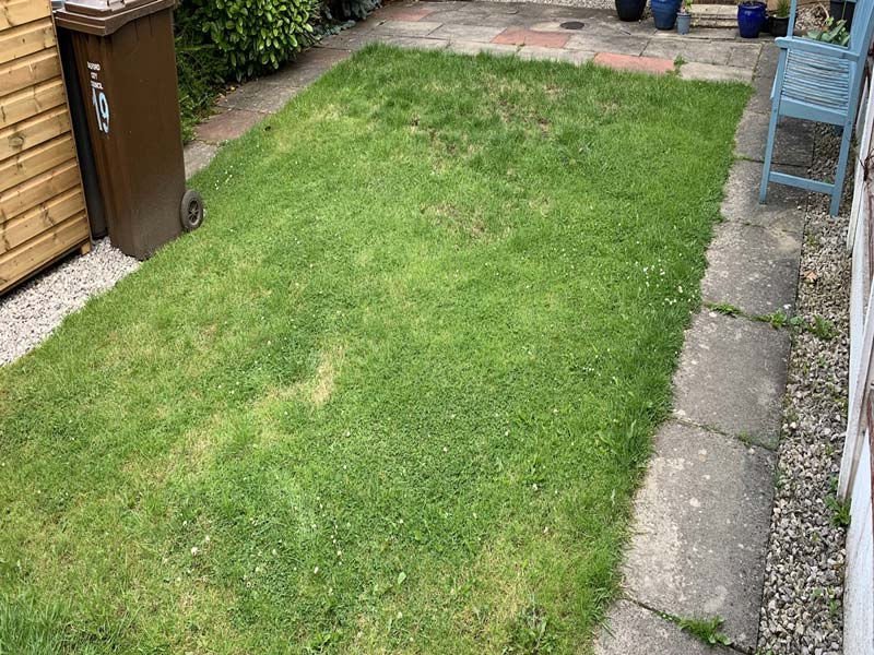 Nature-friendly garden in Manchester