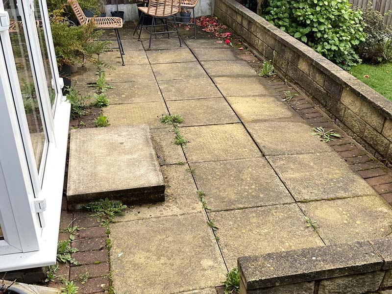 Garden design and build