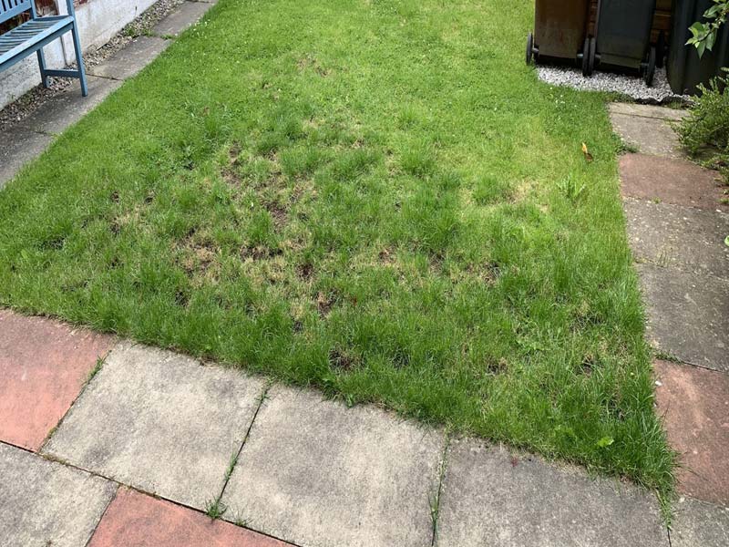 Wildlife pond installation